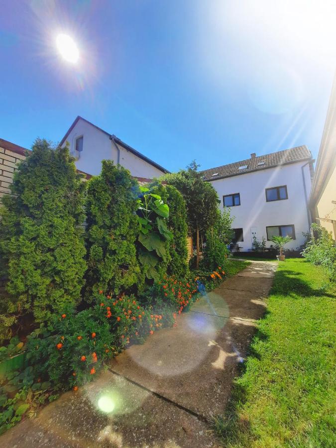 Apartmani Sunflower Karlofça Dış mekan fotoğraf