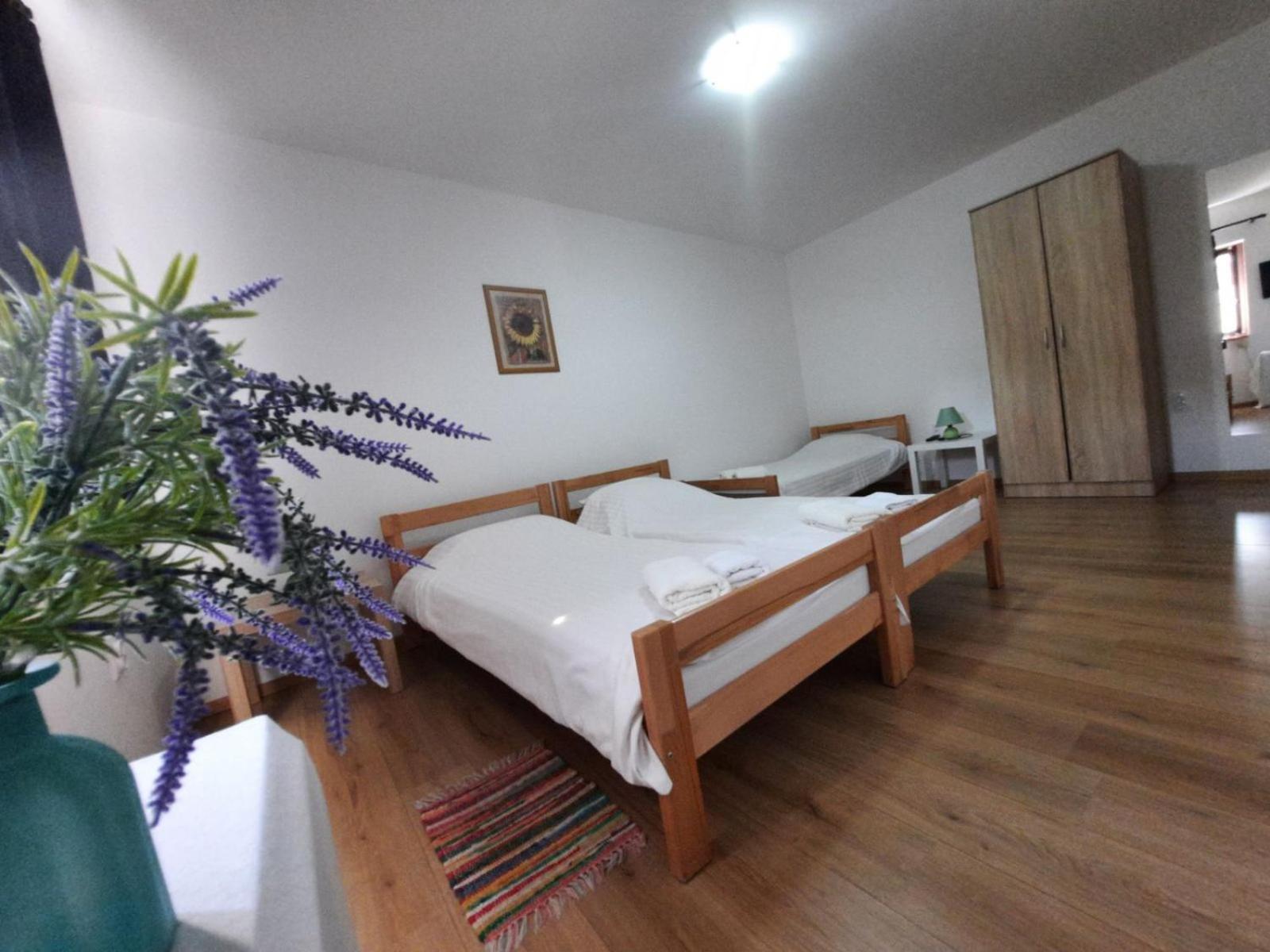 Apartmani Sunflower Karlofça Oda fotoğraf